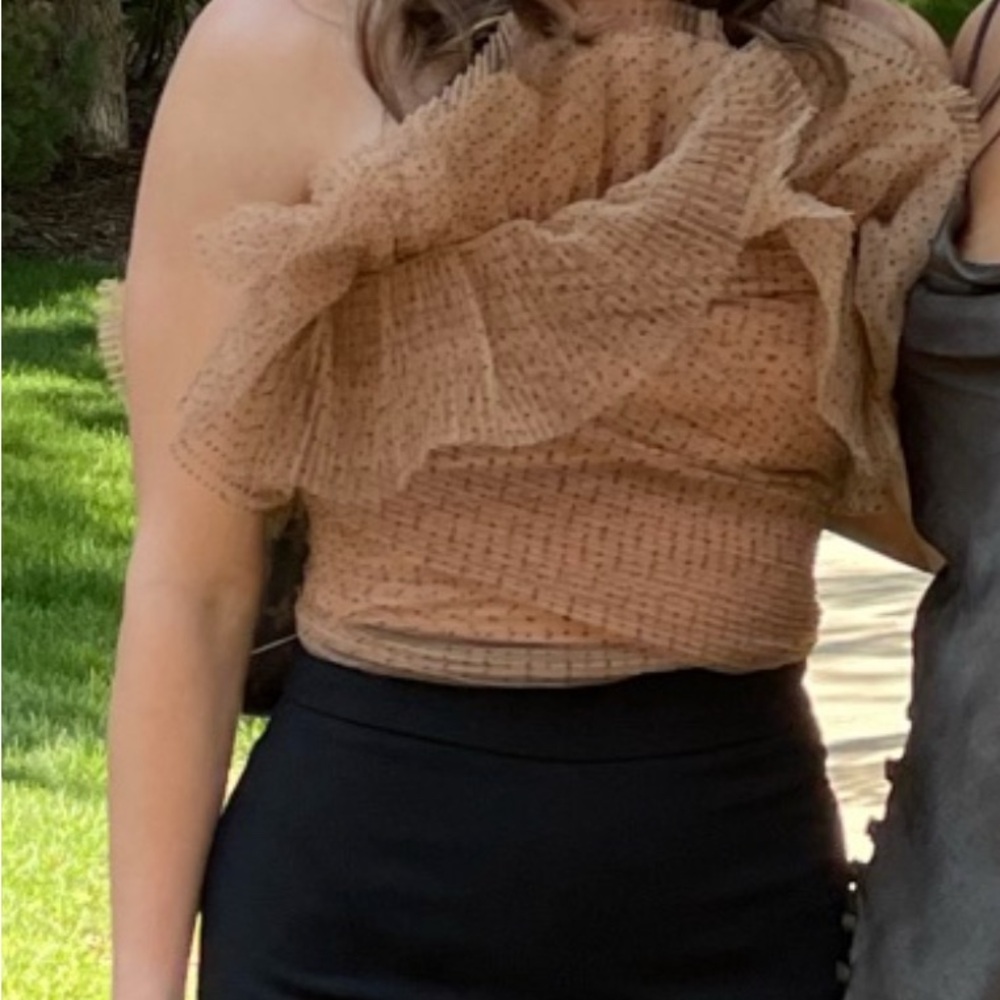 Zara Tulle Tube Top